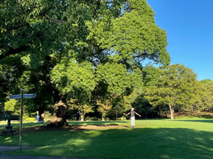 ラジオ体操＠富士市中央公園