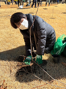 南富士ゴルフクラブ跡地の植樹に参加